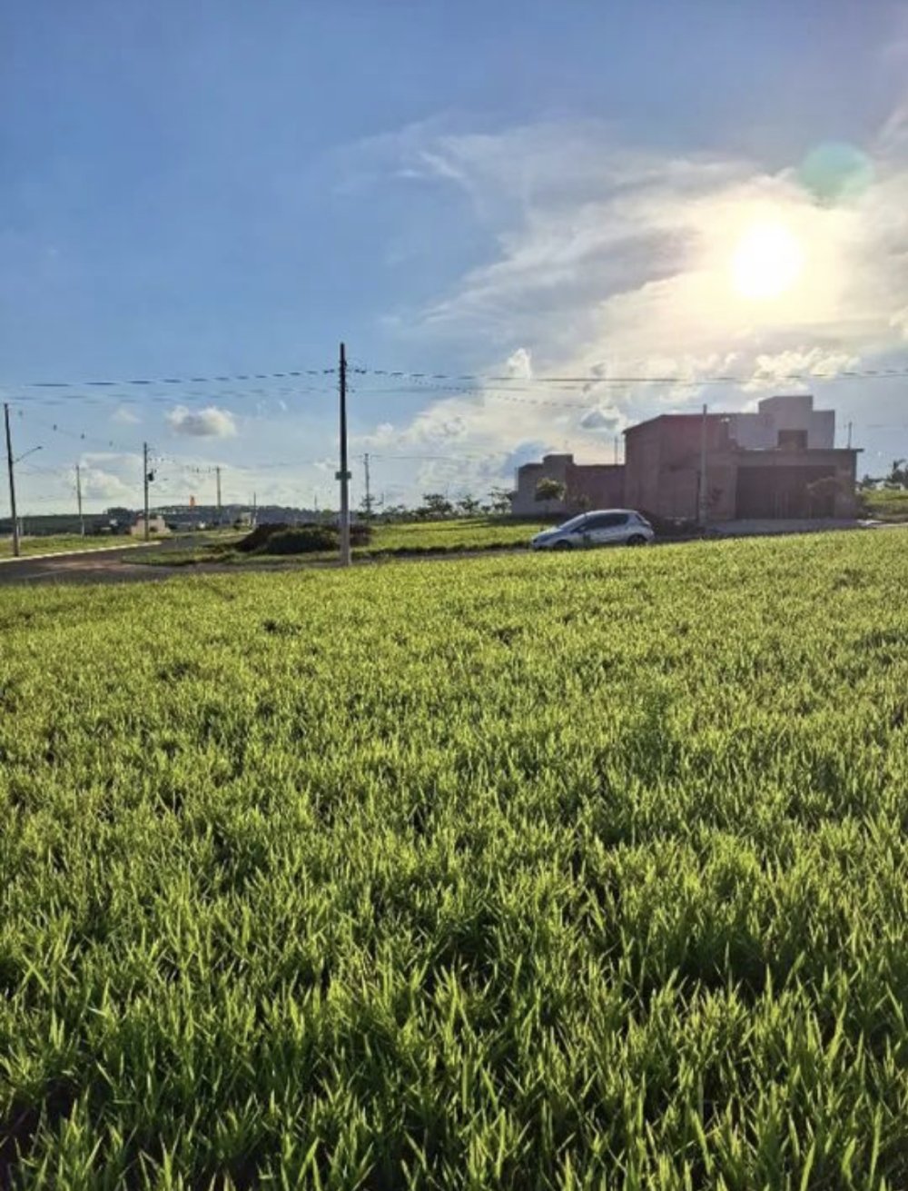 Terreno - Venda - Jardim Campo Verde II - Limeira - SP